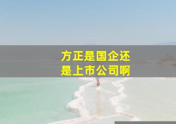 方正是国企还是上市公司啊