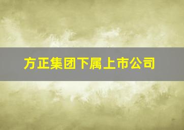 方正集团下属上市公司