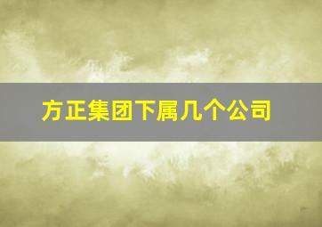 方正集团下属几个公司