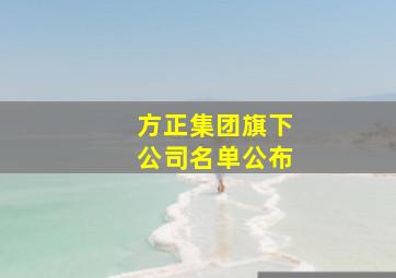 方正集团旗下公司名单公布