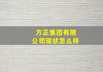 方正集团有限公司现状怎么样