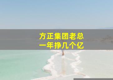 方正集团老总一年挣几个亿