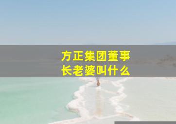 方正集团董事长老婆叫什么