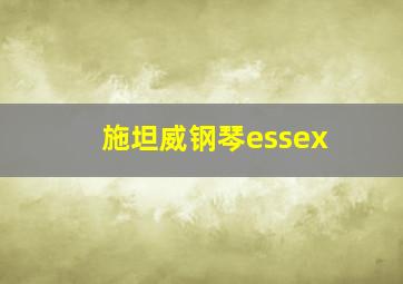 施坦威钢琴essex