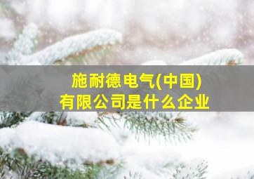 施耐德电气(中国)有限公司是什么企业