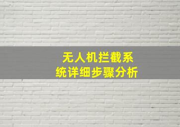 无人机拦截系统详细步骤分析