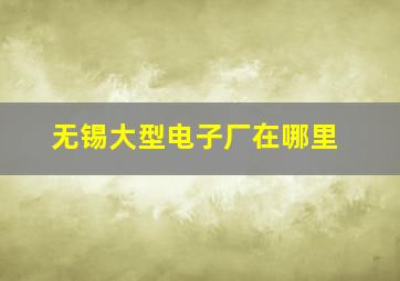 无锡大型电子厂在哪里