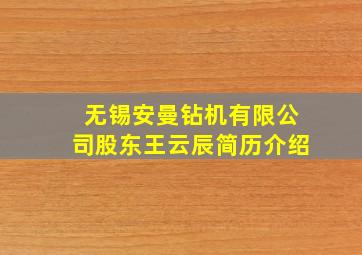 无锡安曼钻机有限公司股东王云辰简历介绍