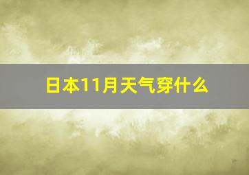 日本11月天气穿什么