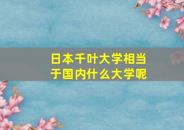 日本千叶大学相当于国内什么大学呢