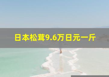 日本松茸9.6万日元一斤