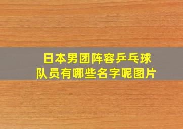 日本男团阵容乒乓球队员有哪些名字呢图片