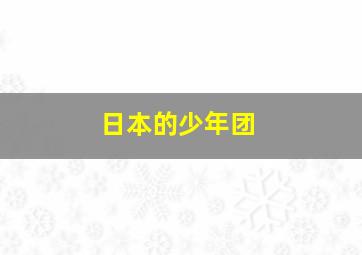 日本的少年团