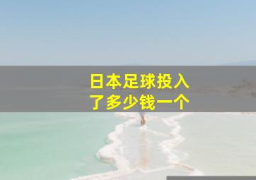 日本足球投入了多少钱一个