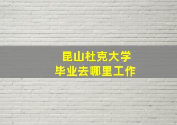 昆山杜克大学毕业去哪里工作