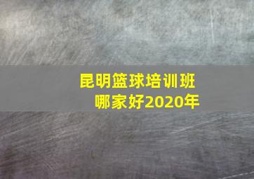 昆明篮球培训班哪家好2020年