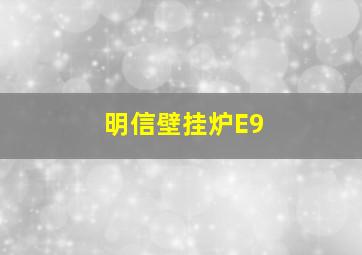 明信壁挂炉E9