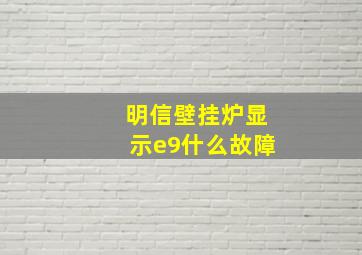 明信壁挂炉显示e9什么故障