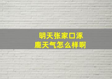 明天张家口涿鹿天气怎么样啊