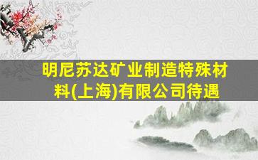 明尼苏达矿业制造特殊材料(上海)有限公司待遇