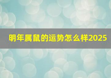 明年属鼠的运势怎么样2025