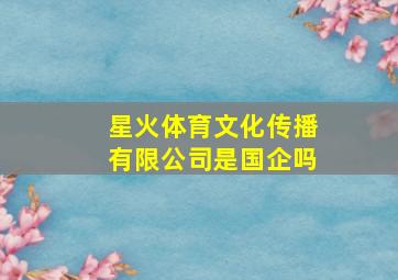 星火体育文化传播有限公司是国企吗