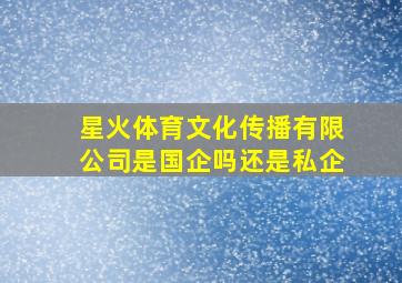 星火体育文化传播有限公司是国企吗还是私企