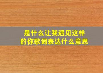 是什么让我遇见这样的你歌词表达什么意思