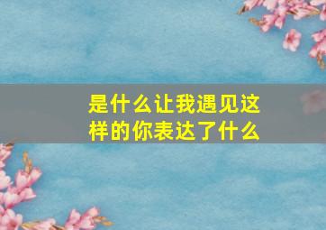 是什么让我遇见这样的你表达了什么