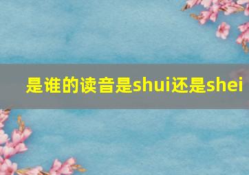 是谁的读音是shui还是shei