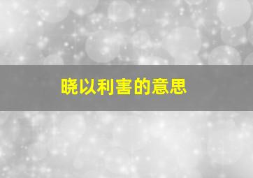 晓以利害的意思