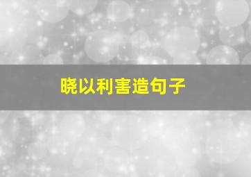 晓以利害造句子