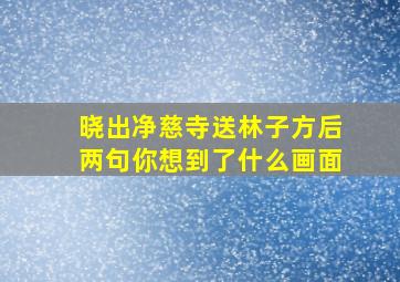 晓出净慈寺送林子方后两句你想到了什么画面