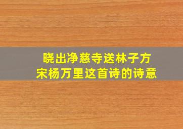 晓出净慈寺送林子方宋杨万里这首诗的诗意