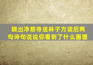 晓出净慈寺送林子方读后两句诗句说说你看到了什么画面