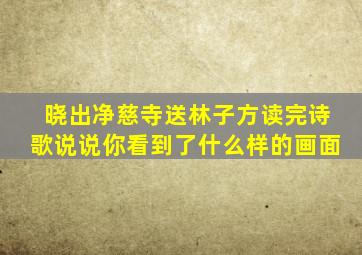 晓出净慈寺送林子方读完诗歌说说你看到了什么样的画面