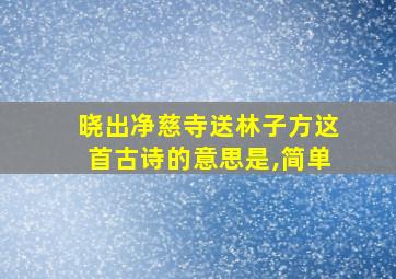 晓出净慈寺送林子方这首古诗的意思是,简单