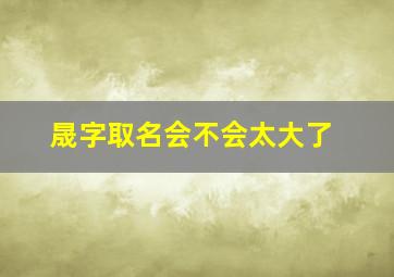 晟字取名会不会太大了