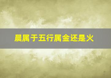 晨属于五行属金还是火