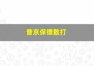 普京保镖散打