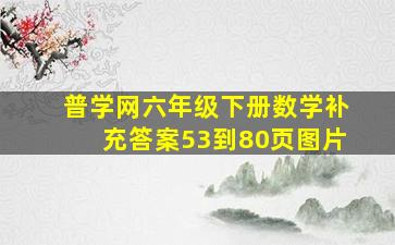 普学网六年级下册数学补充答案53到80页图片