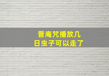 普庵咒播放几日虫子可以走了