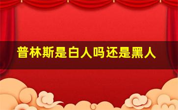 普林斯是白人吗还是黑人