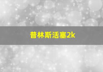 普林斯活塞2k