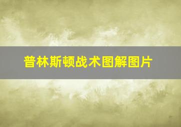 普林斯顿战术图解图片