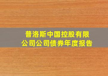 普洛斯中国控股有限公司公司债券年度报告