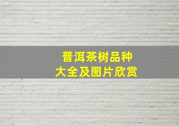 普洱茶树品种大全及图片欣赏