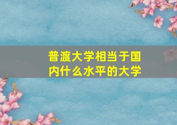 普渡大学相当于国内什么水平的大学