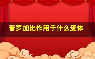 普罗加比作用于什么受体