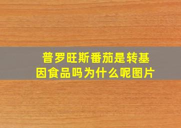 普罗旺斯番茄是转基因食品吗为什么呢图片